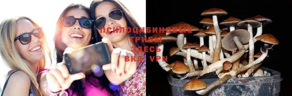 круглые Богородск