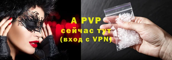 гашик Белокуриха