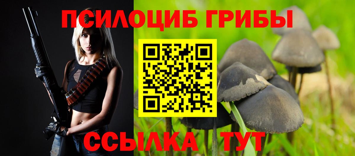 Галлюциногенные грибы MAGIC MUSHROOMS  Вход с VPN  Галлюциногенные грибы Cubensis  Волжск 